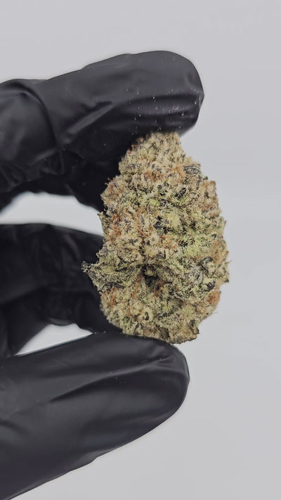 Banana MAC | First Cut Exotics | Flower