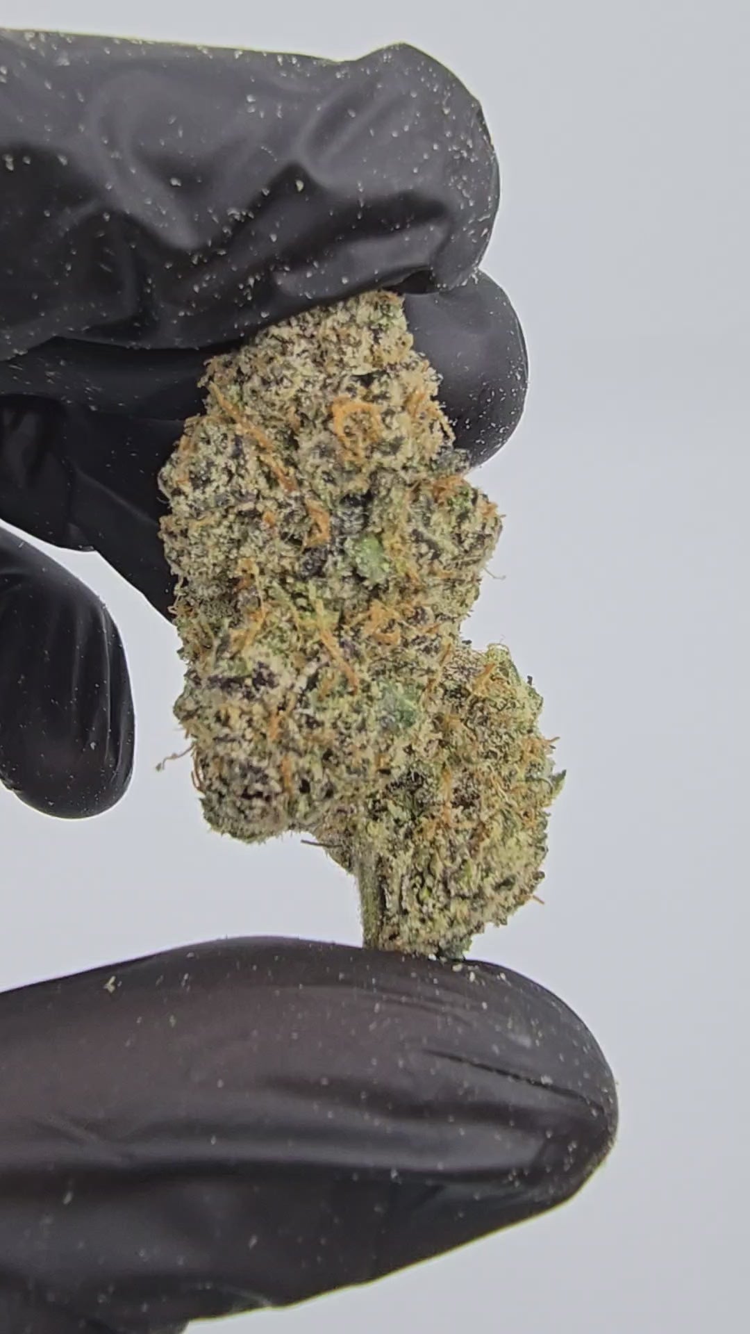 White Gummies | First Cut Exotic | Flower | ON SALE