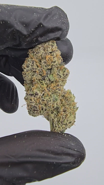 White Gummies | First Cut Exotic | Flower | ON SALE