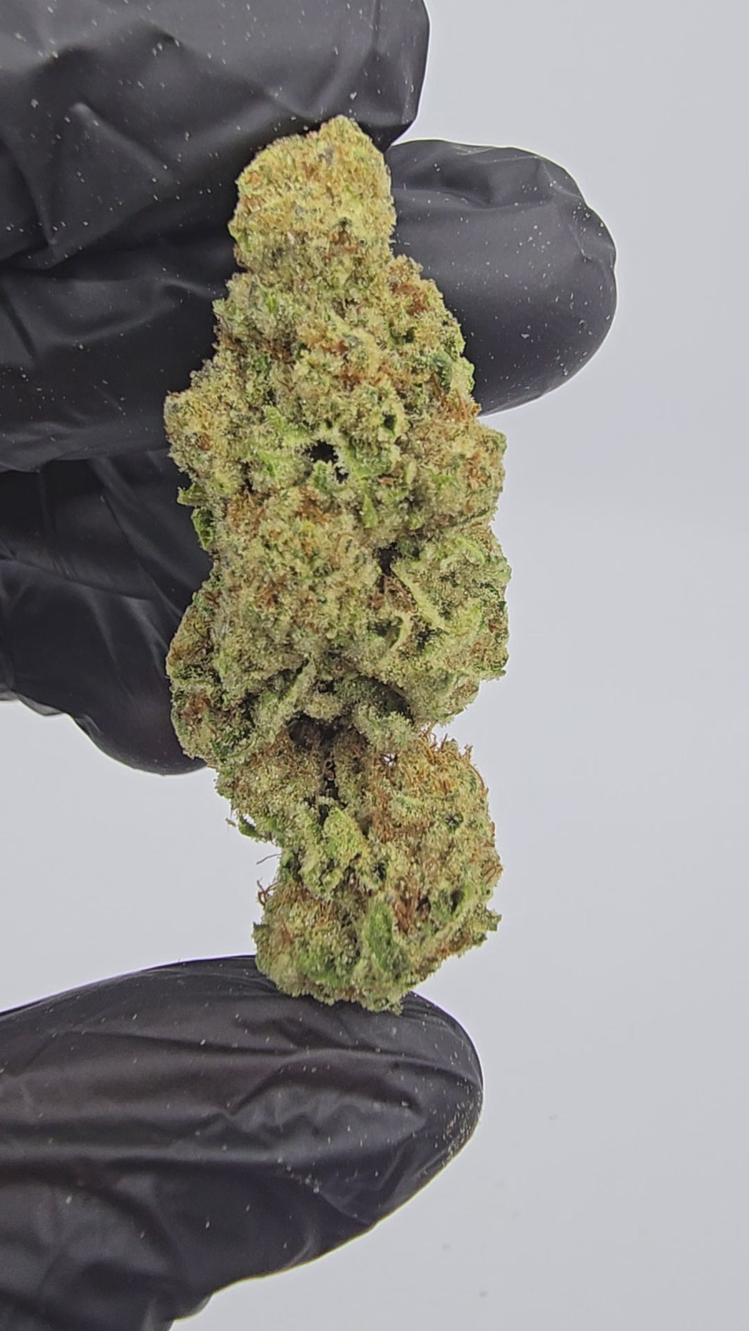 Load video: Lambo OG | Top Tier | Flower