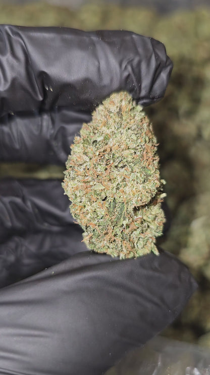 Alien Banana OG | Top Shelf | Flower | ON SALE