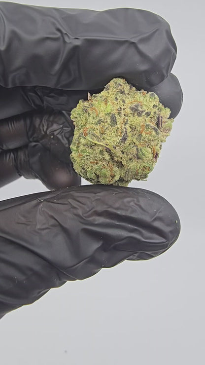 Shadow Cookies | Boutique Exotics | Flower