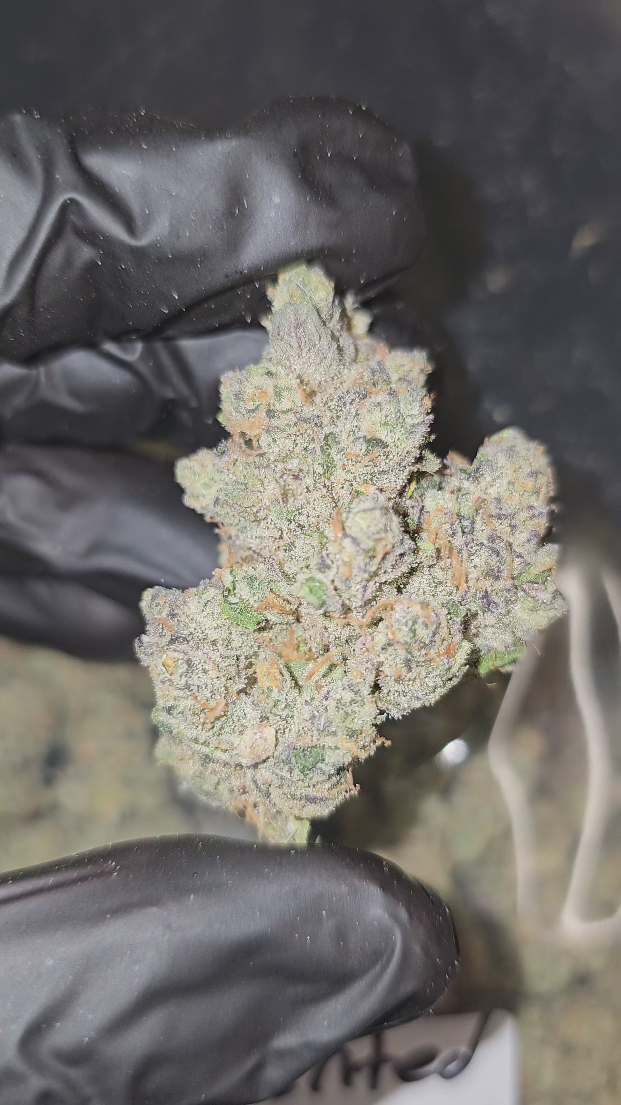 Scented Marker | First Cut Exotics | Flower