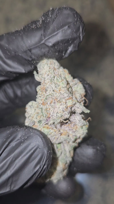 Diesel's Crown OG | Private Reserve Flower | 36%