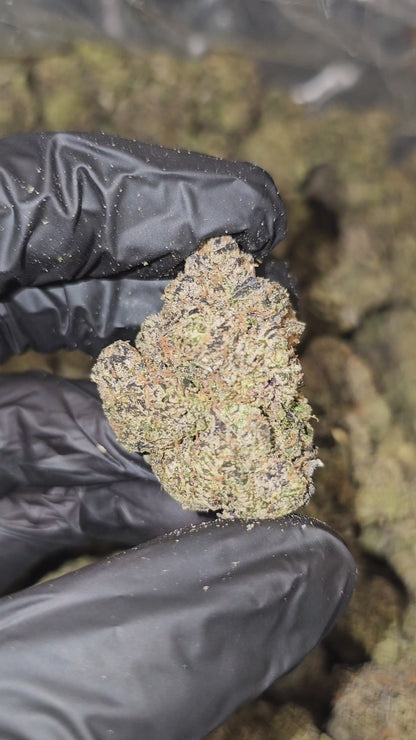 Black Runtz | Top Tier | Flower