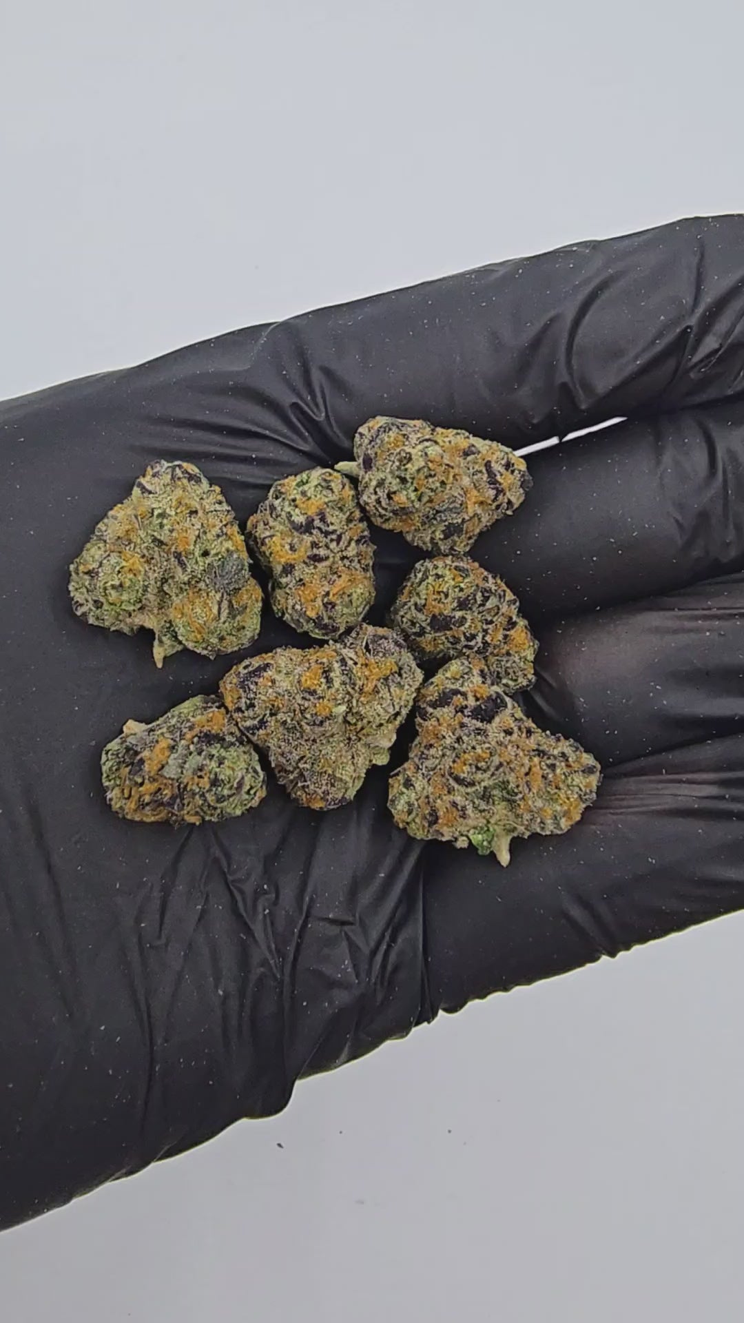 Load video: Cadillac Rainbow | "Medium Buds" | Boutique Exotics | Flower | ON SALE