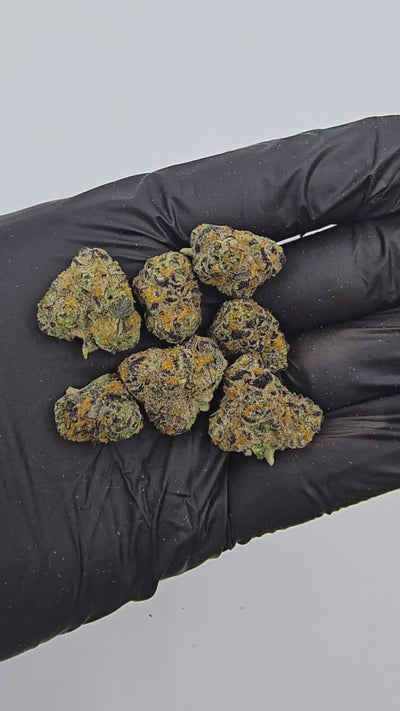 Cadillac Rainbow | "Medium Buds" | Boutique Exotics | Flower | ON SALE