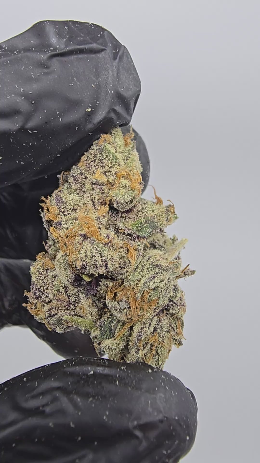 Load video: Citron | Boutique Tier | Flower | 14 Gram Pack