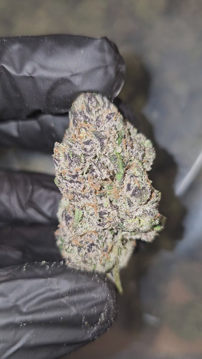 Diesel's Runtz | First Cut Exotics | 33% | Flower