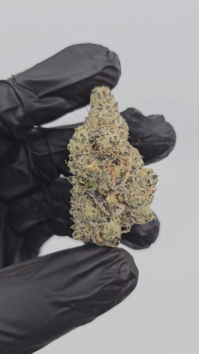 G Piff | First Cut Exotics | Flower | 32%