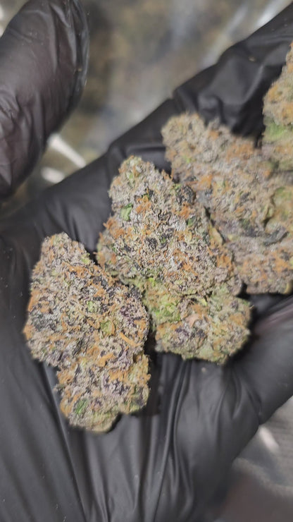 Blue Sharpiez | First Cut Exclusive | Flower