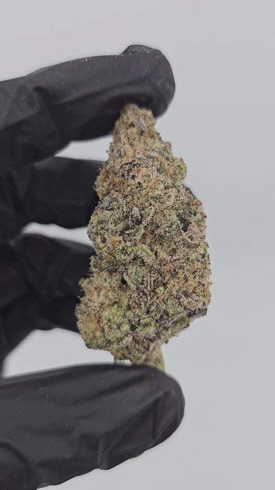 Junior MAC | First Cut Exotics | Flower | 34.39%