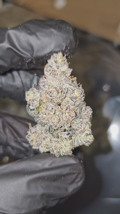 Garlic Butter | First Cut Exotics | 32% | Flower