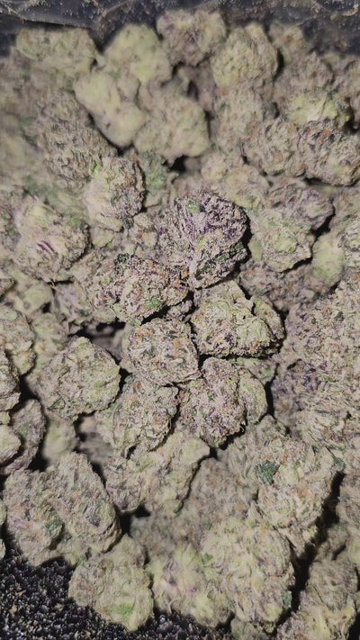 BLAM | Medium Buds | First Cut Exotics Flower | 30%