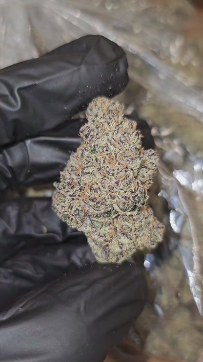 Blueberry Bolo Runtz | First Cut Exclusive | Flower | 37.35%