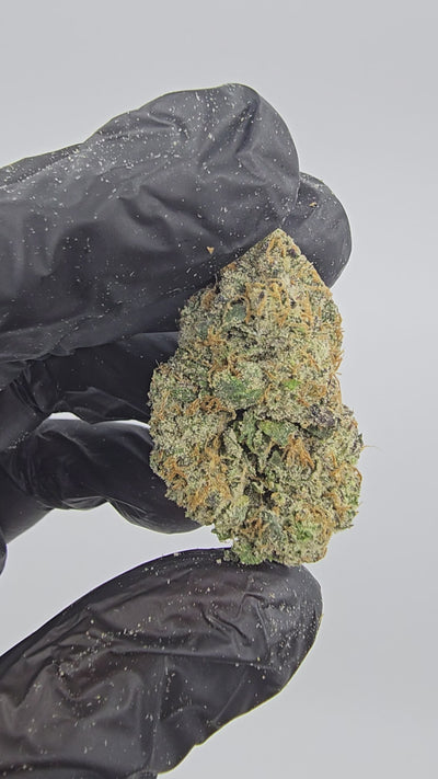 Watermelon Gelato | Boutique Tier | Flower | 37.95%