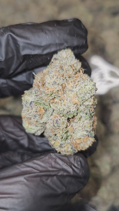 White Taffi | First Cut Exotics | Flower | 7 Grams Packs | 34%