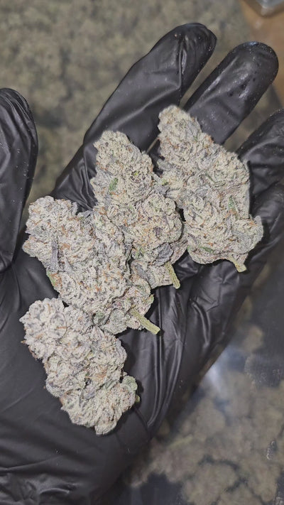 Diesel's Crown OG | Private Reserve Flower | 36%