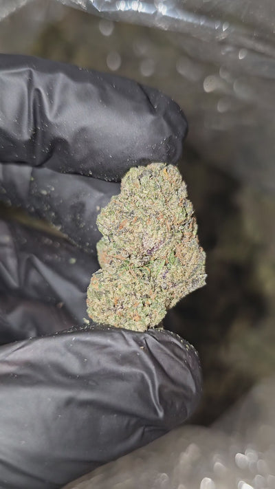 Grape Inferno | Top Shelf | 33% | Flower | On Sale