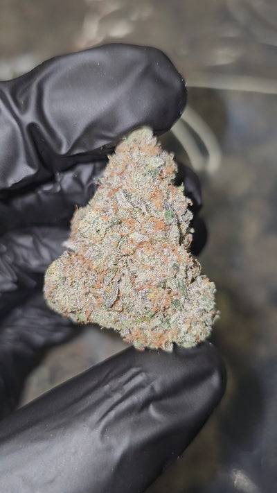 Sour Cookiez | First Cut Exotics Flower | ON SALE