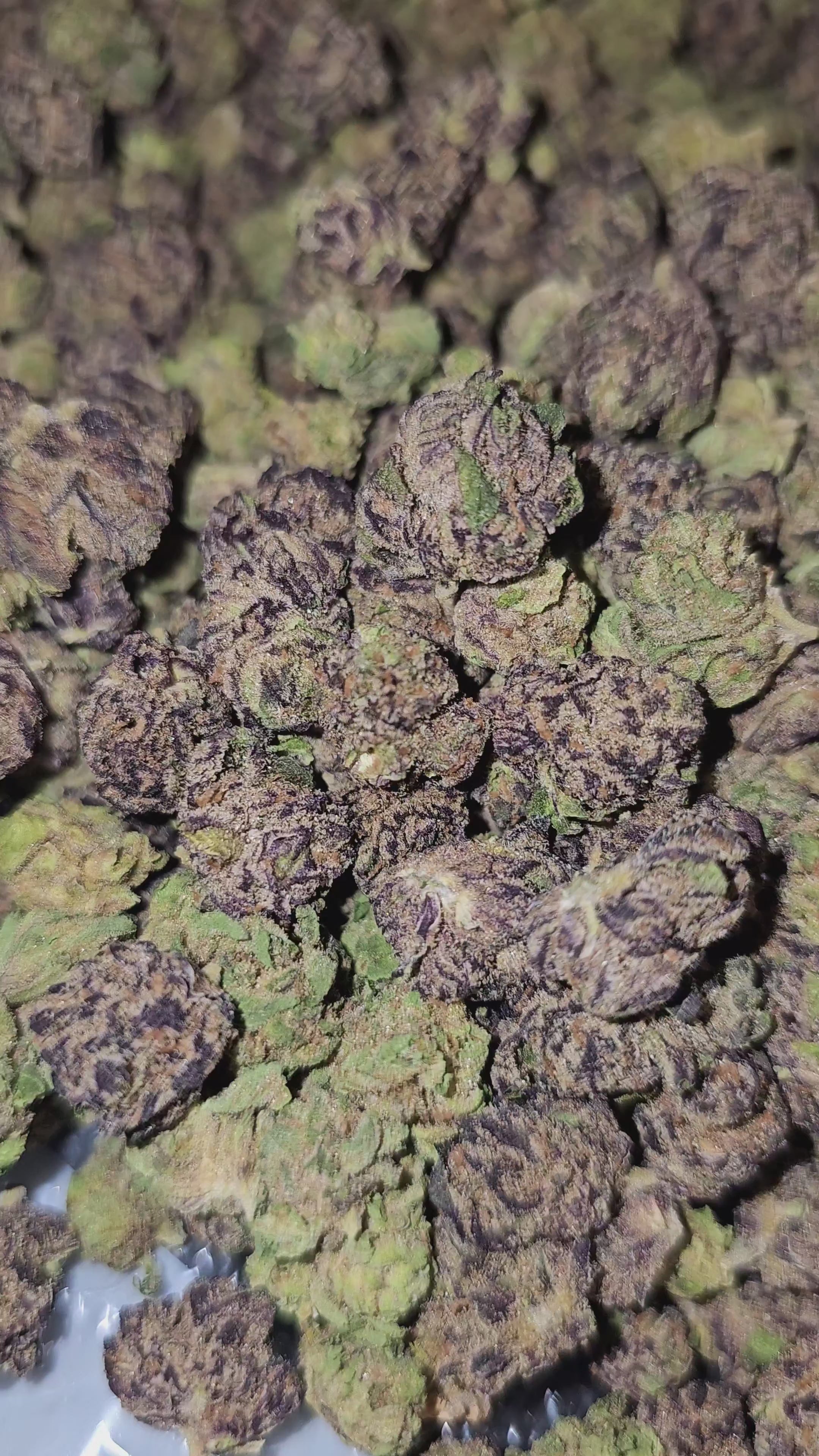 Load video: Pink Certs | Small Buds | Boutique Exotics | 32% | Flower