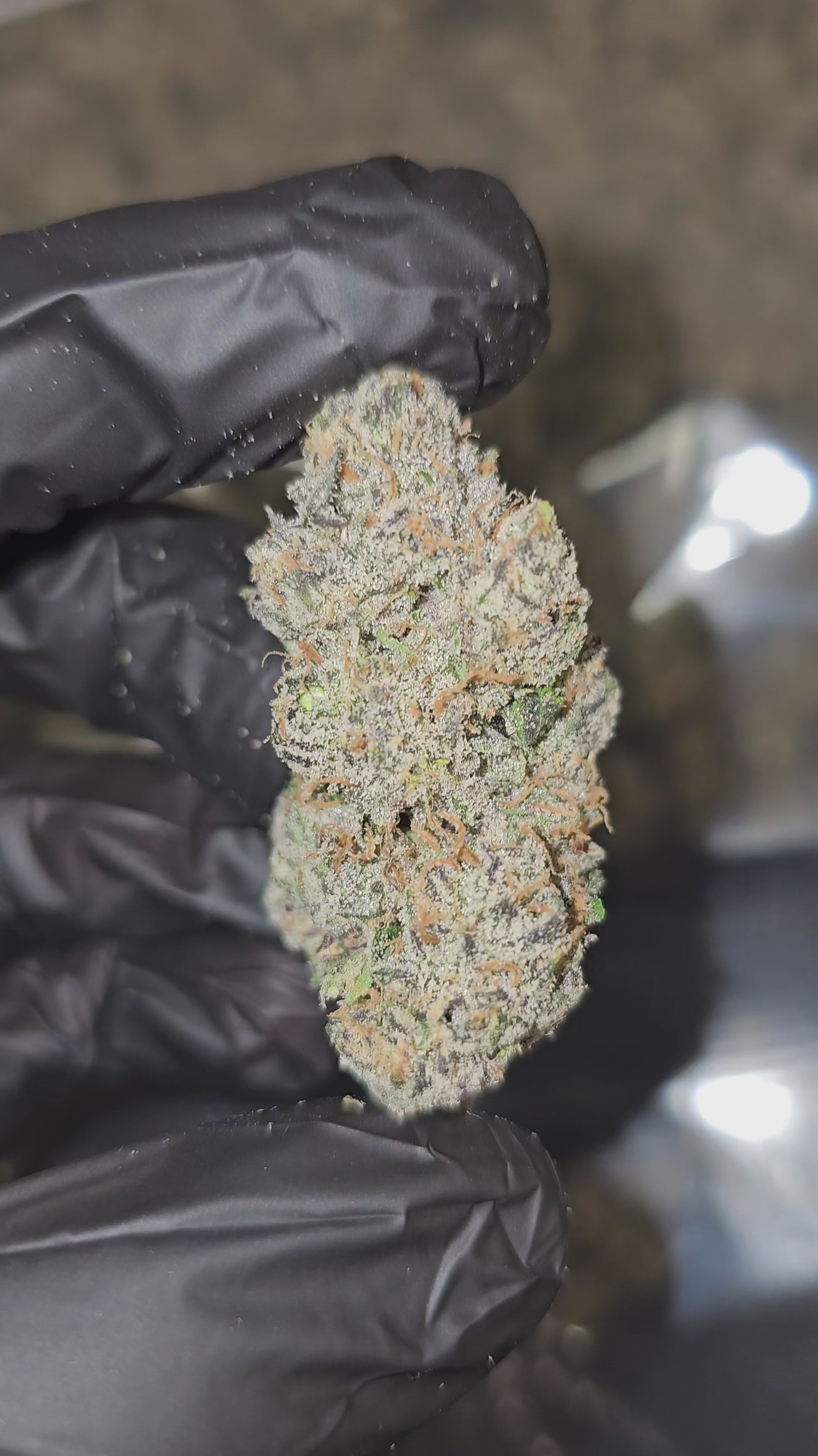 Load video: Bubble Bath x Runtz | First Cut Exotics | Flower