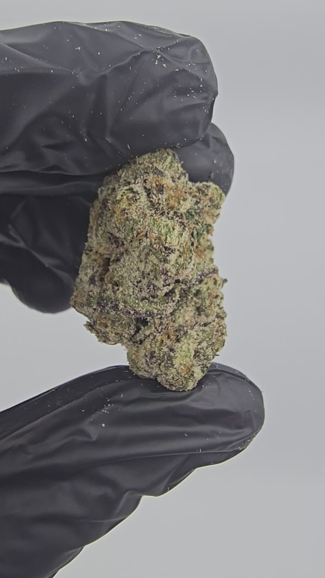 Blood Diamond | First Cut Exotics | Flower