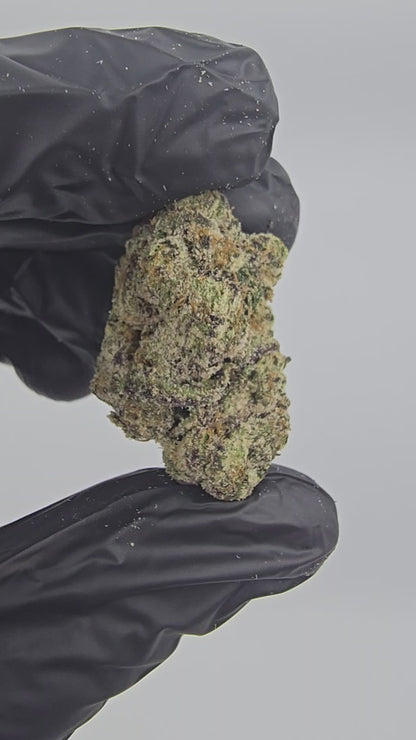 Blood Diamond | First Cut Exotics | Flower