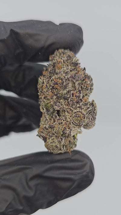 Insane Pound Cake | Boutique Exotics | Flower | On Sale