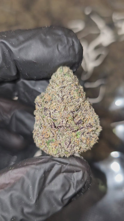 Diesel's Funk | First Cut Exotics | Flower | 31%