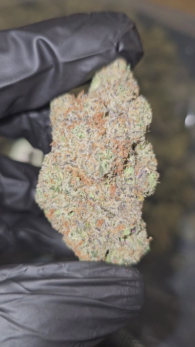 Sour Diesel | Boutique Exotics | Flower