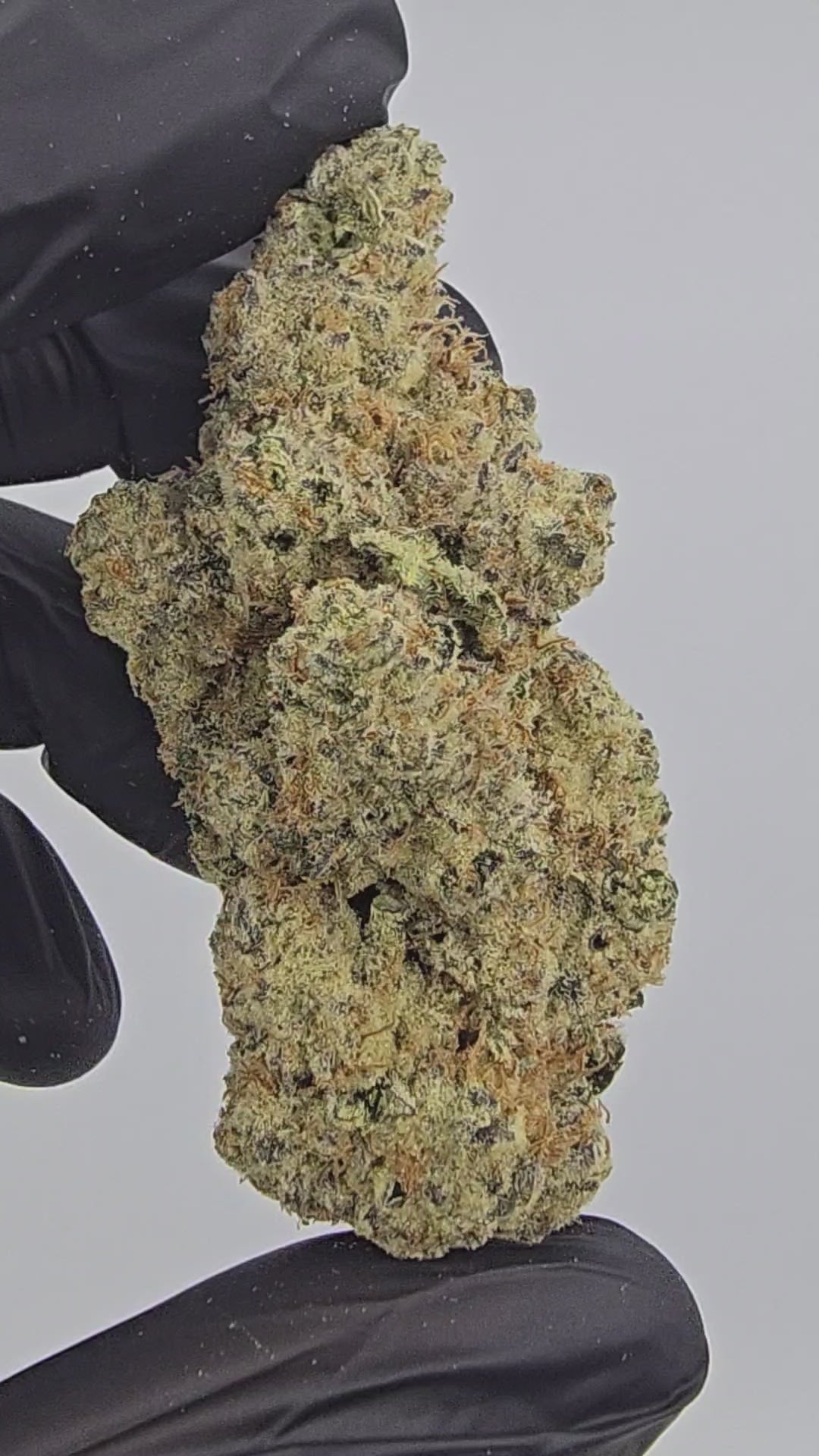 Load video: MAC Flurry | First Cut Exotic | Flower | ON SALE