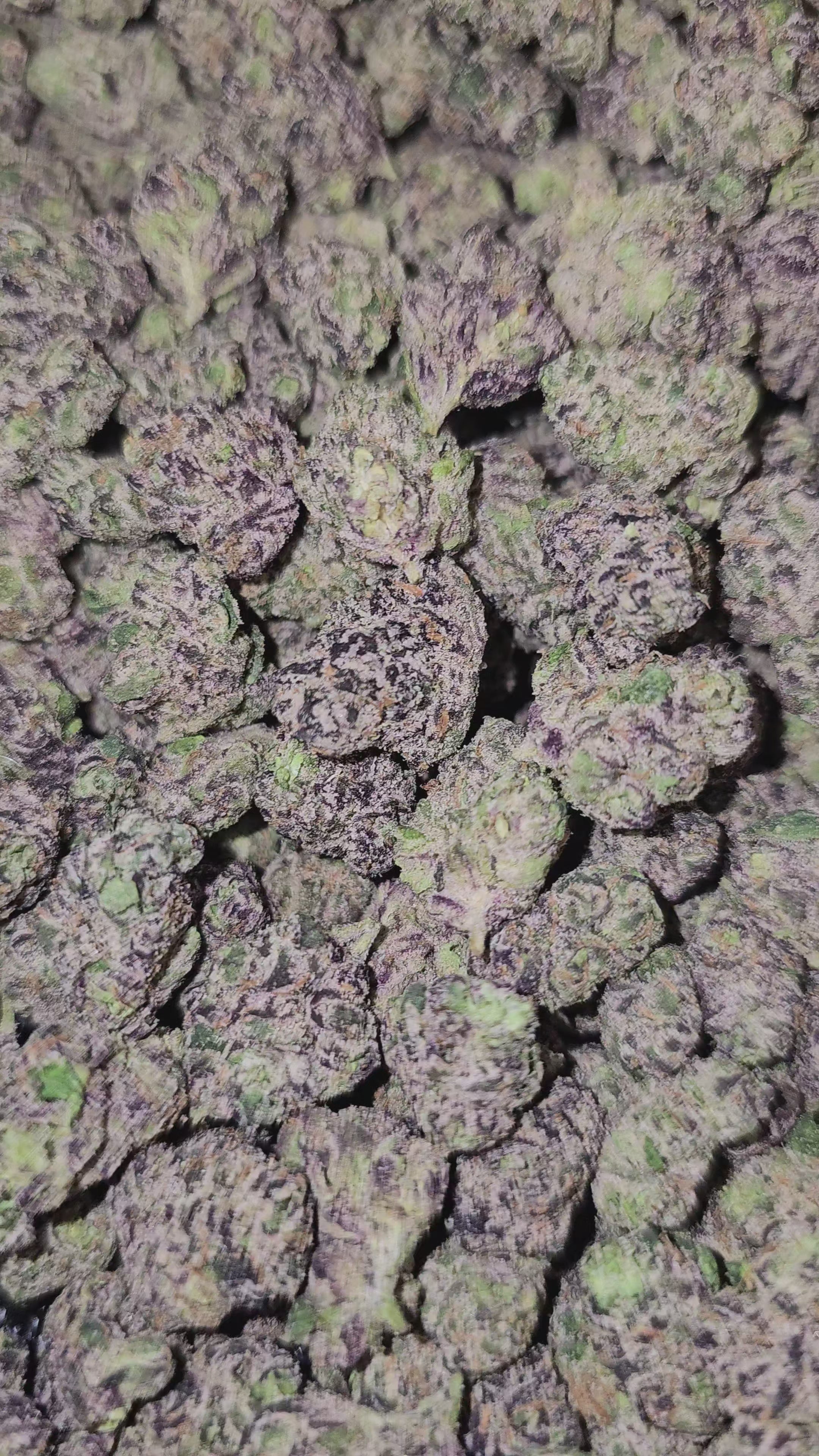 Grape CureLato | First Cut Exotics | Flower | Medium Buds