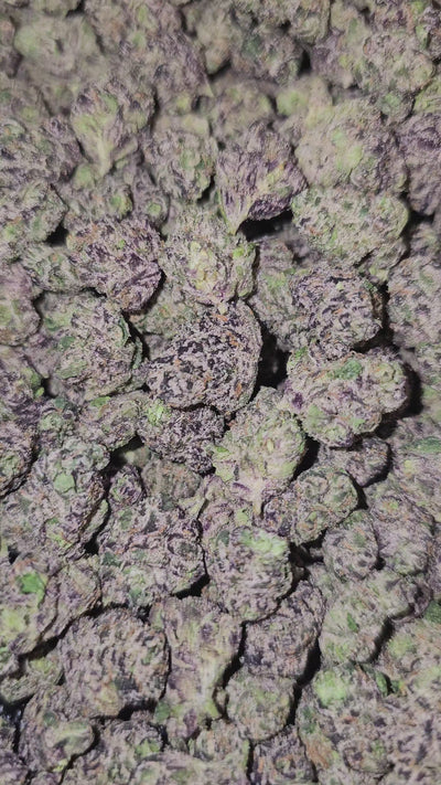 Grape CureLato | First Cut Exotics | Flower | Medium Buds