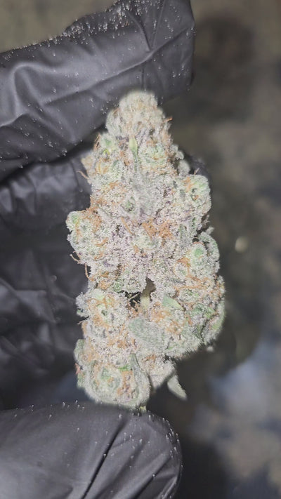 Diesel's Crown OG | Private Reserve Flower | 36%
