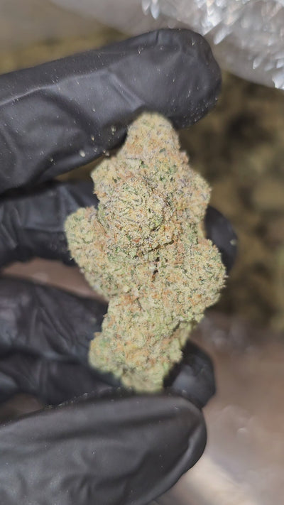 White Widow | Top Shelf | Flower