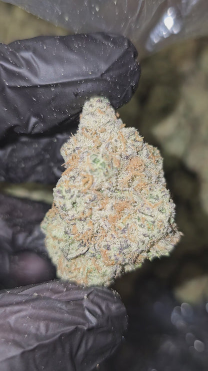 Guava Kush | First Cut Exclusive | Flower