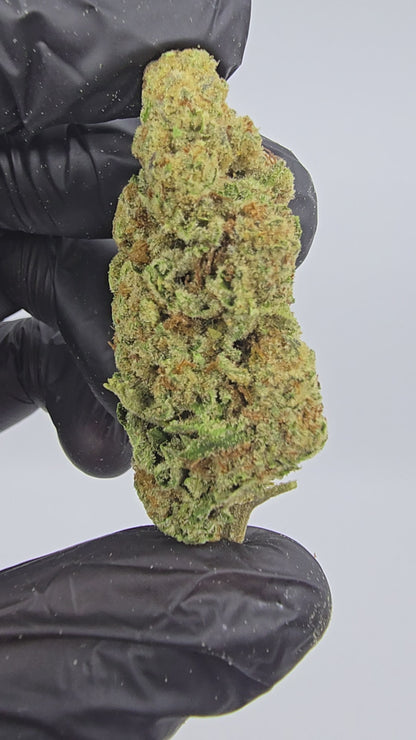 Lambo OG | Top Tier | Flower