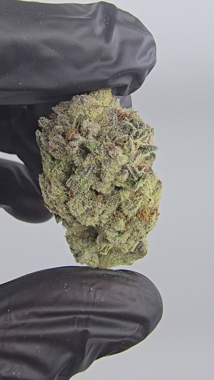 Diamond OG | Boutique Exotics | Flower | MEMBERS ONLY DEAL