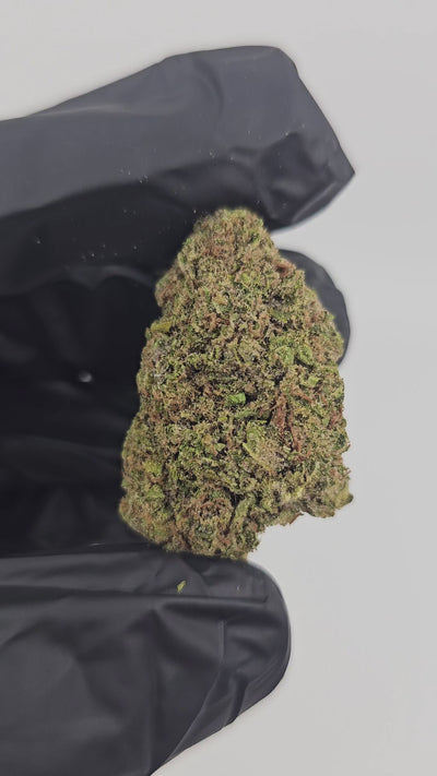 Durban Poison | Top Shelf Flower | On Sale