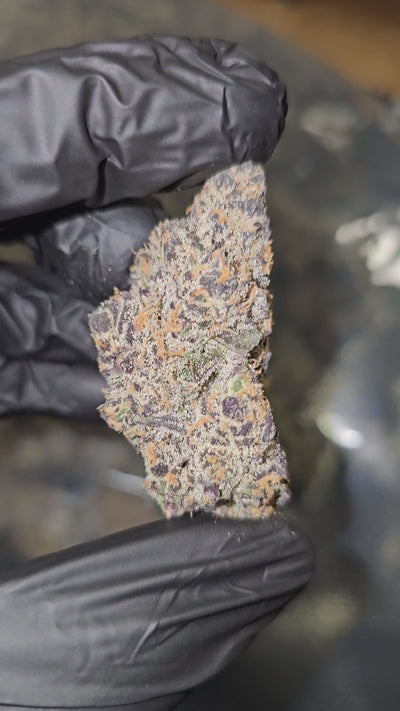 Black Jesus | Private Reserve Flower | 34%