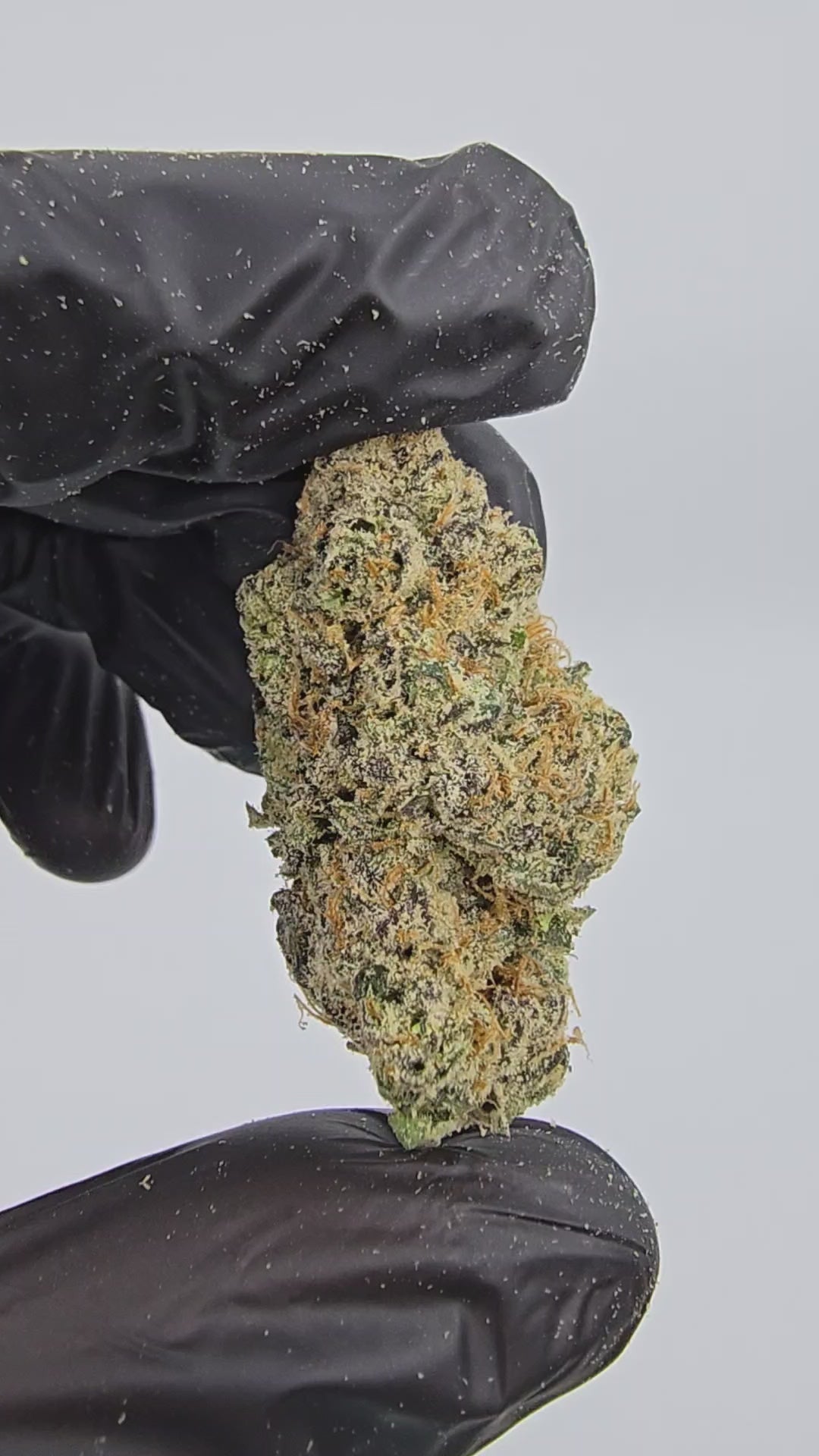 Load video: White Gummies | First Cut Exotic | Flower | ON SALE