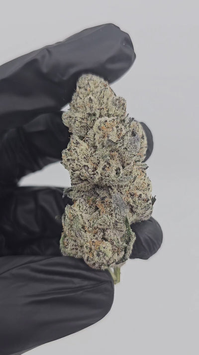 Diesel's Crown OG | Private Reserve Flower | 36%