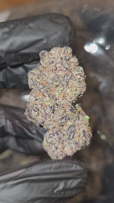 Lizard Burger | First Cut Exotics | Flower | 30.92%