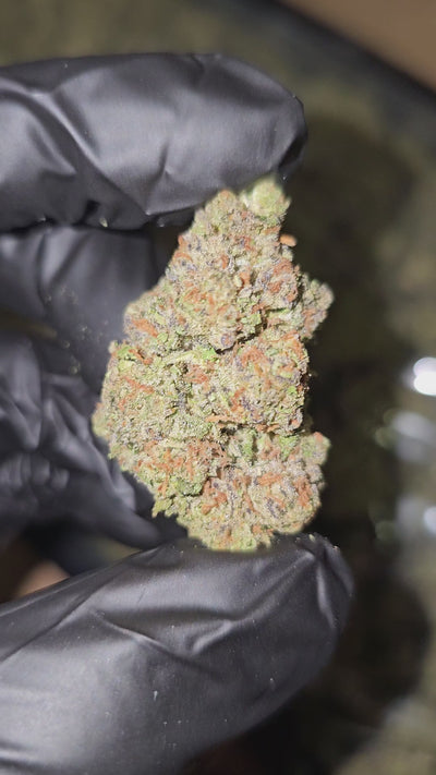 Super Sonic Oreoz | Top Shelf | Flower
