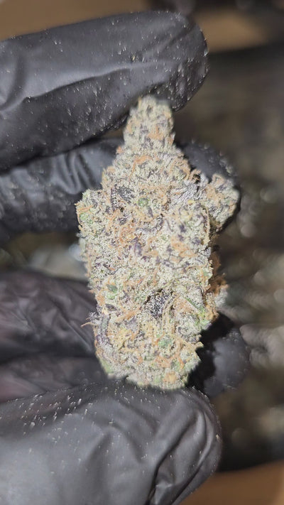 Melonade Skunk | First Cut Exotics | Flower