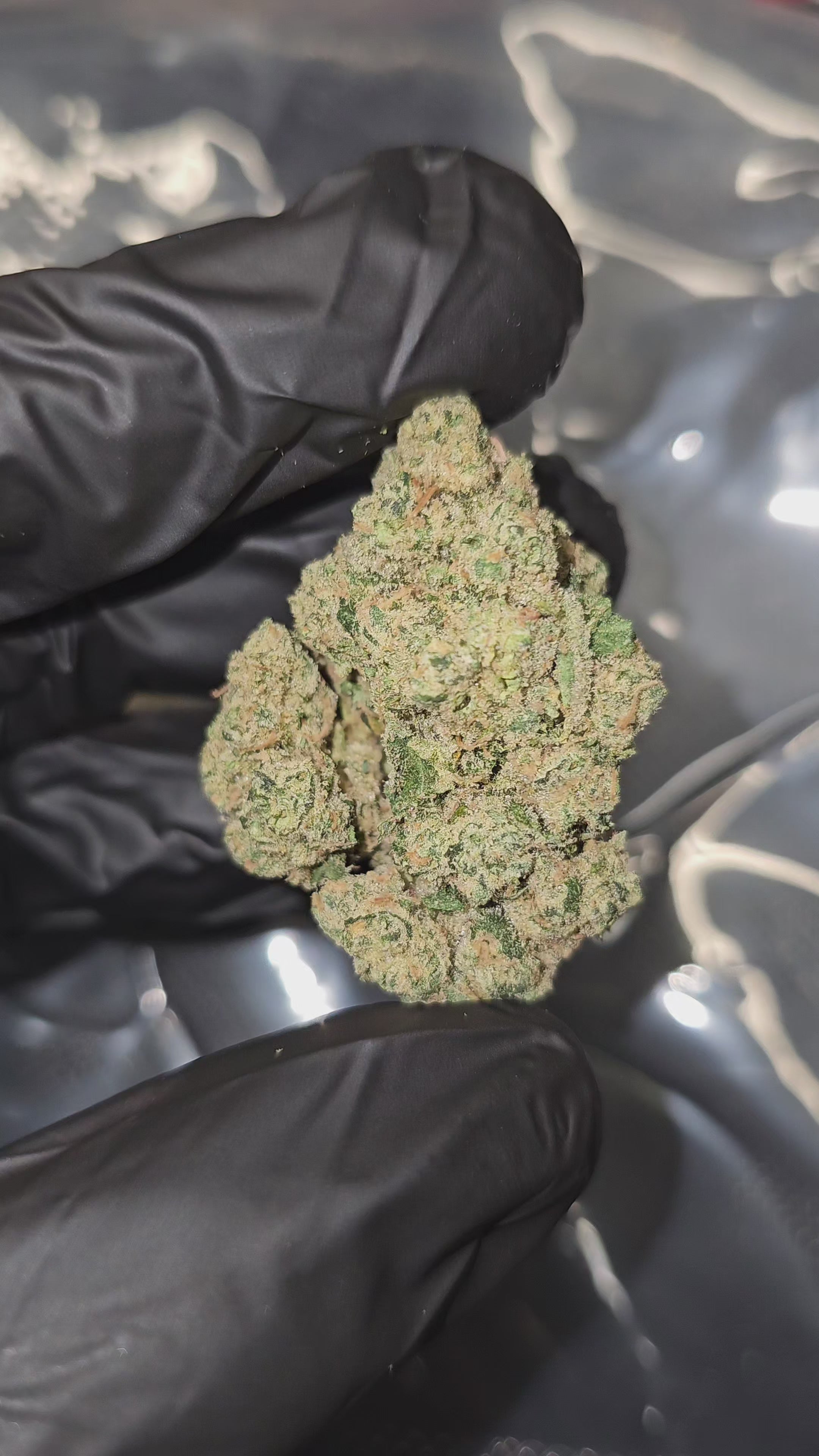 Load video: Tahoe OG | Top Shelf | Flower
