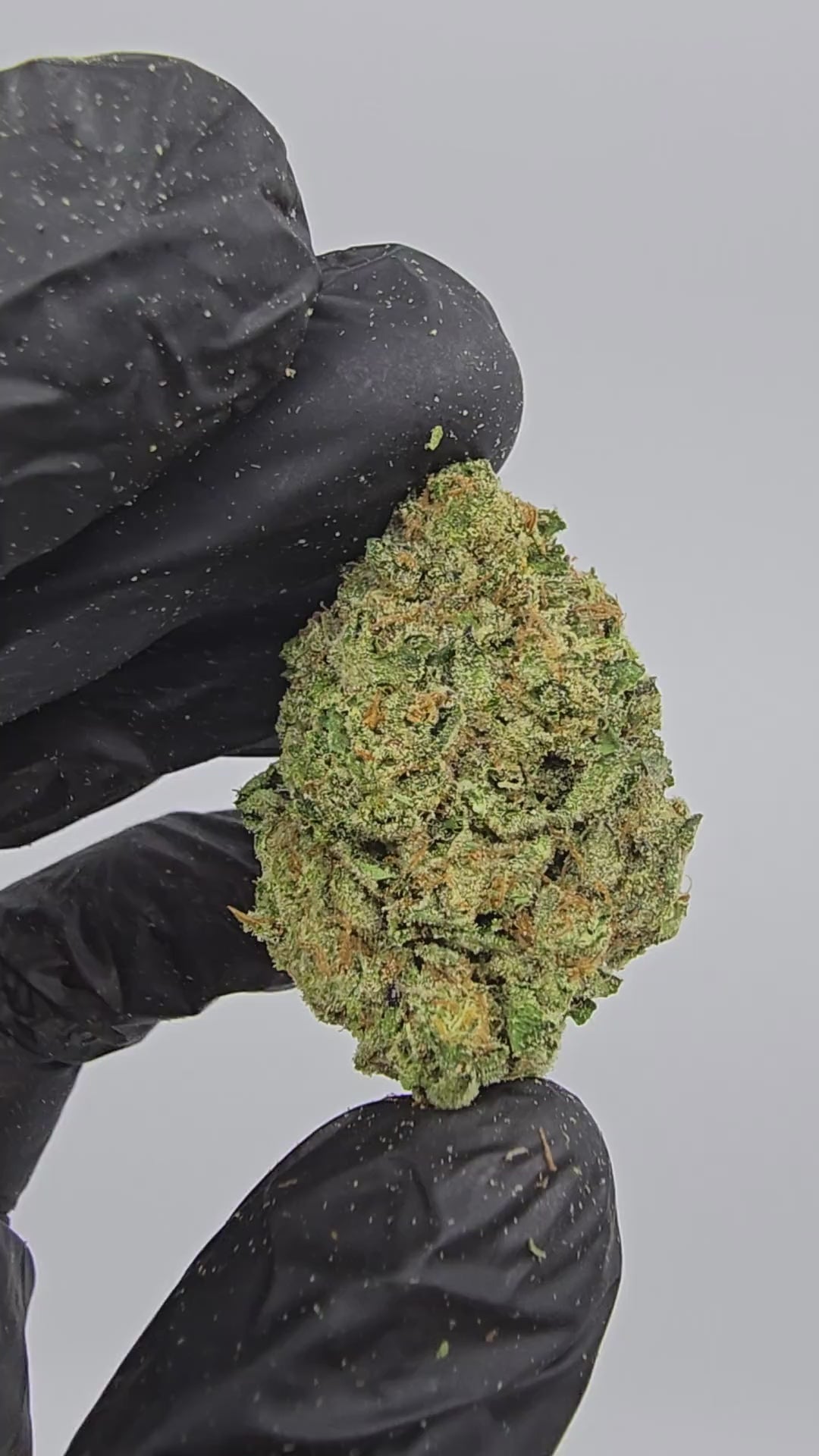 Load video: Lemon Barz | Top Tier | Flower