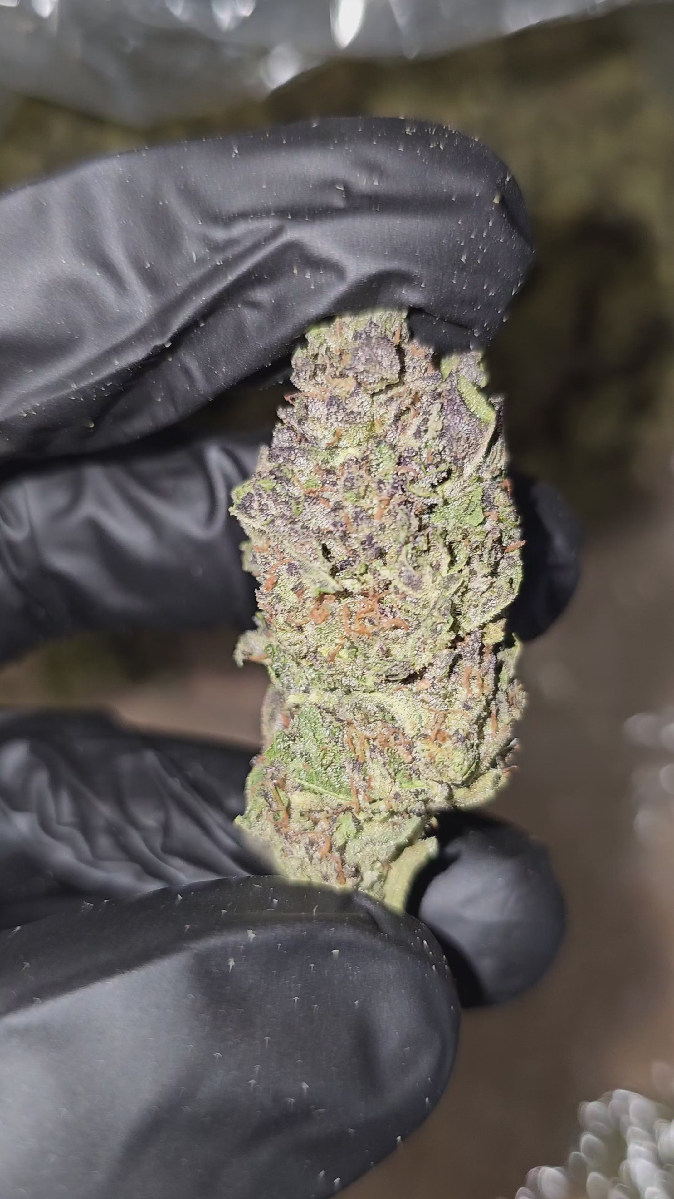 Blueberry Muffin | Budget Shelf | 31% | Flower | On Sale
