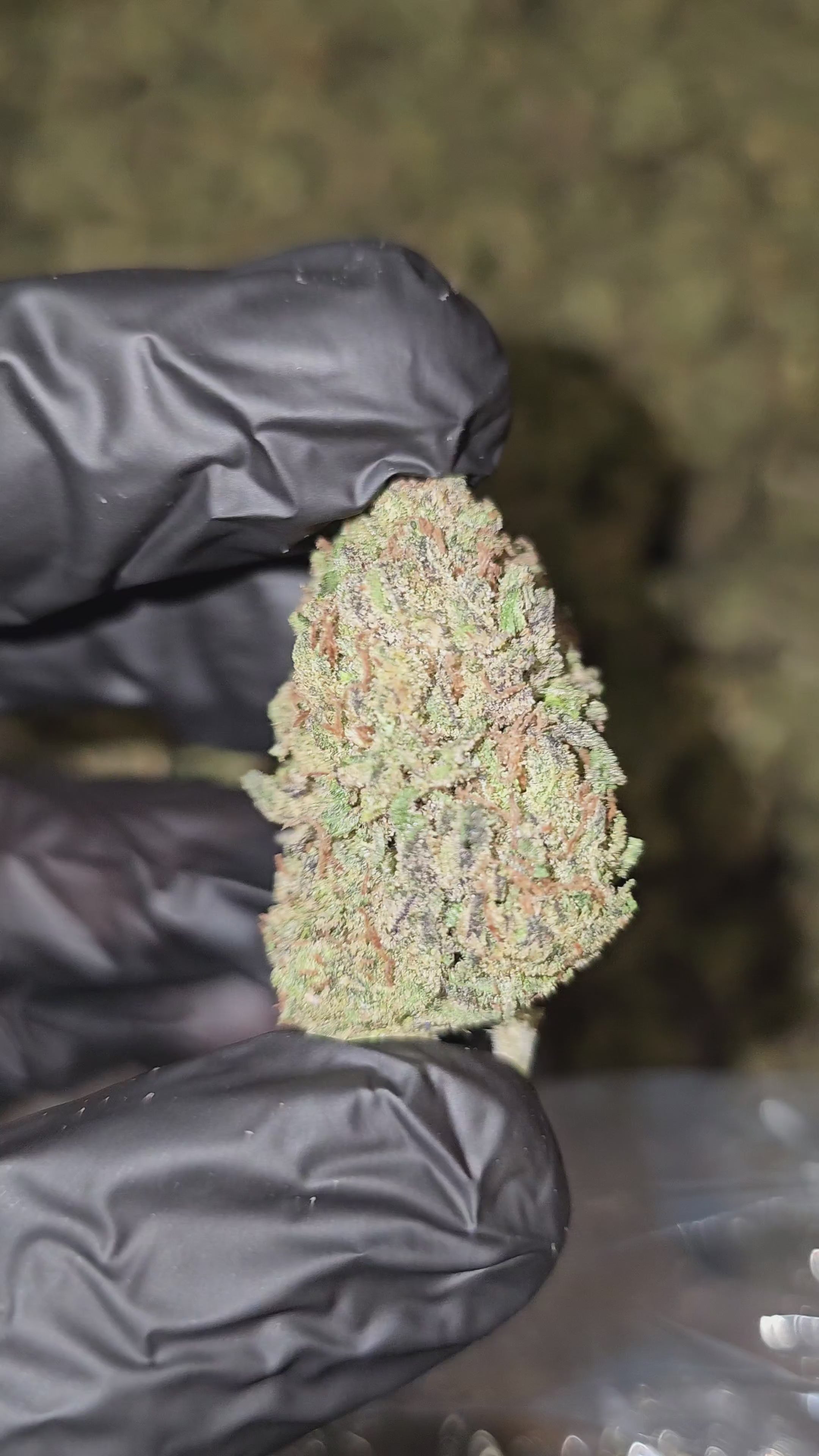 Cherry On Top | Top Shelf | Flower | On Sale